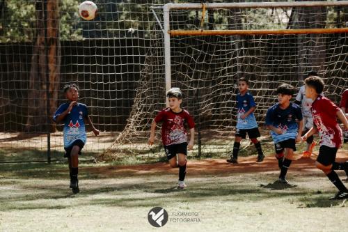CIFAC 2024 - SUB-11