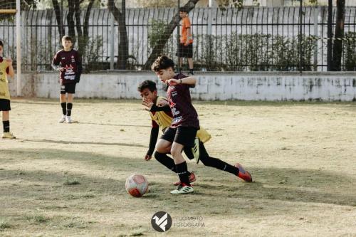 CIFAC 2024 - SUB-11 - 17ª Rodada