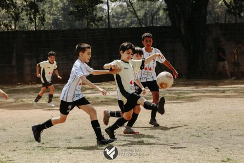 CIFAC 2024 - SUB-11 - 17ª Rodada