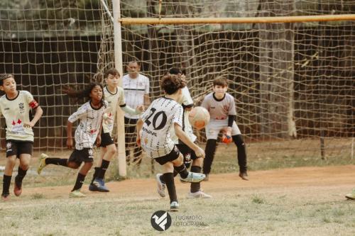 CIFAC - Colégio Brasiliense 2024 - SUB-11 - 18ª Rodada