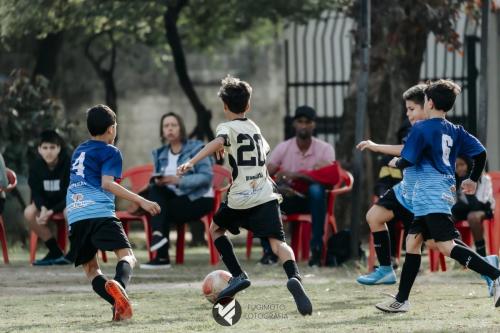 CIFAC 2024 - SUB-11 - 12ª Rodada