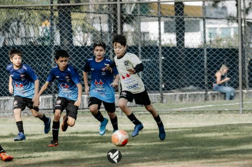 CIFAC 2024 - SUB-11 - 12ª Rodada