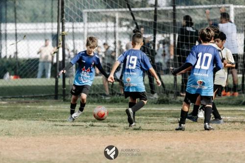 CIFAC 2024 - SUB-11 - 12ª Rodada