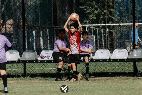 CIFAC 2024 - SUB-11 - 12ª Rodada