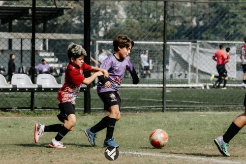 CIFAC 2024 - SUB-11 - 12ª Rodada