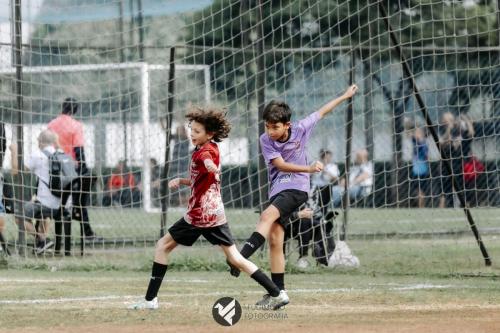 CIFAC 2024 - SUB-11 - 12ª Rodada