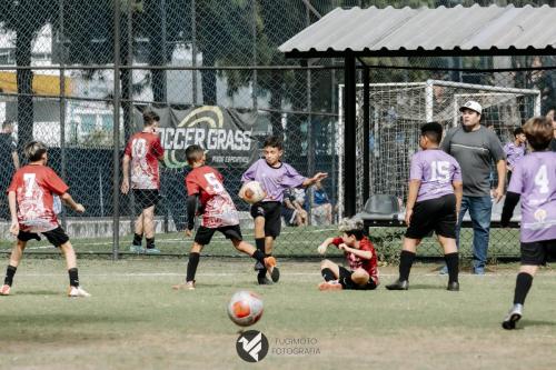 CIFAC 2024 - SUB-11 - 12ª Rodada