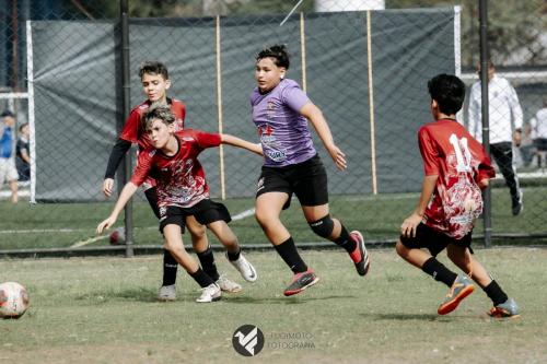 CIFAC 2024 - SUB-11 - 12ª Rodada