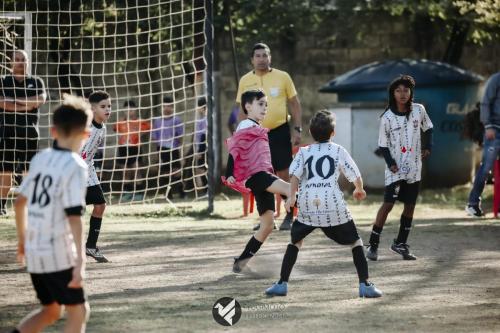 CIFAC 2024 - SUB-11